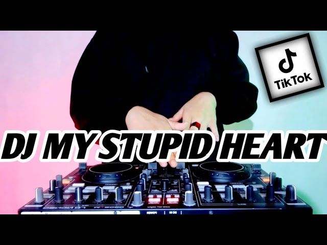 DJ MY STUPID HEART REMIX TIK TOK VIRAL TERBARU FULL BASS 2023 class=