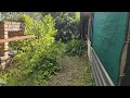 DISASTER of a backyard gets MASSIVE clean up! - Part 1 | The NEVER ENDING path.