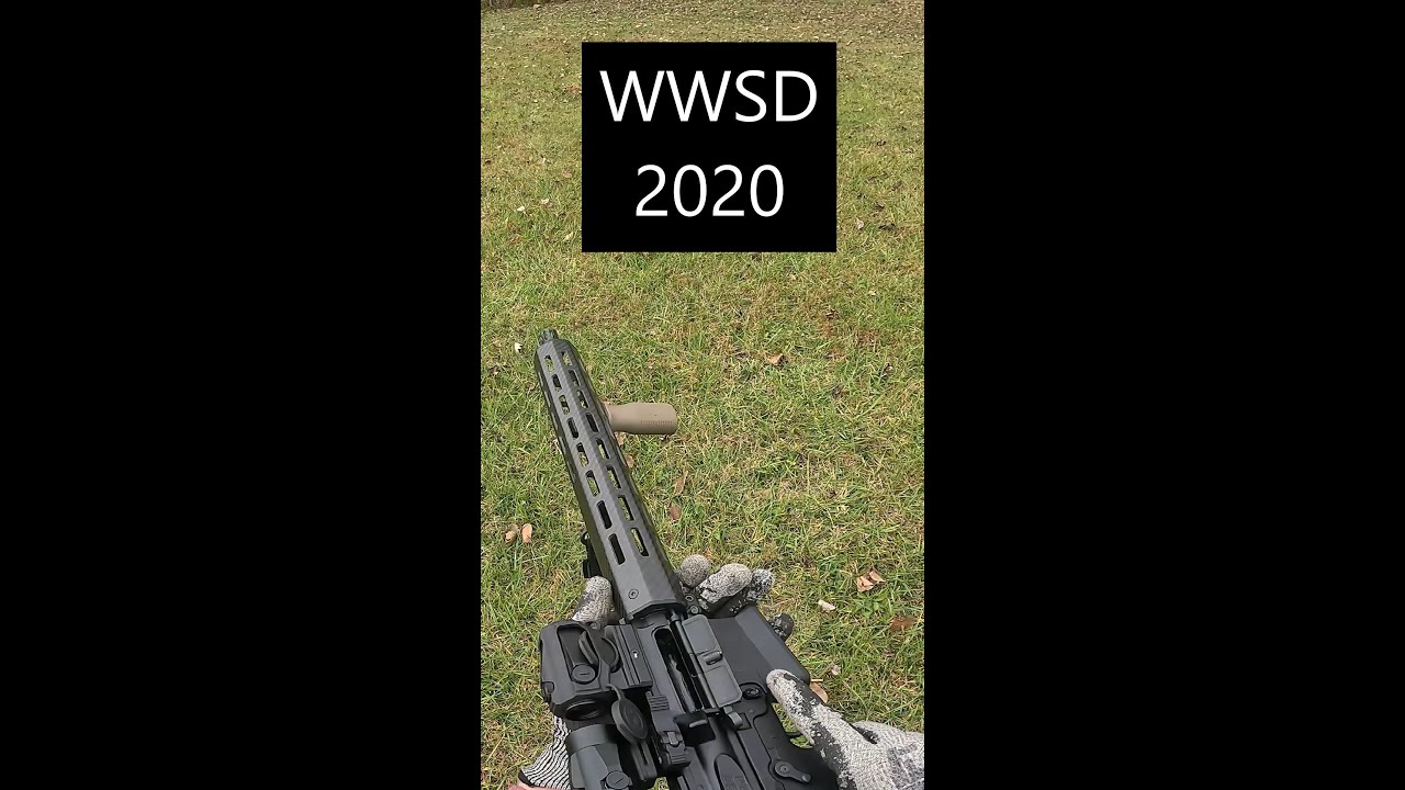 The future is now old man. The WWSD 2020 (AR15).