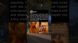 This teddy bear is made from human placenta.