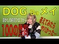 【前略プロフ】懐かしの100の質問やってみた【Baメイver】