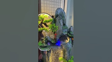 TIỂU CẢNH THÁC NƯỚC PHONH THUỶ | Taka Home Sầm văn Tiến