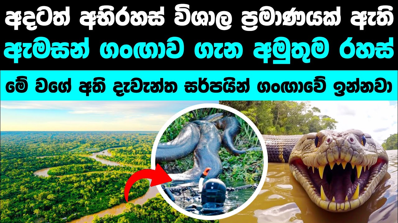 අභිරහස් සඟවාගෙන ගලා යන ඇමසන් ගඟ | Who is under the Amazon river