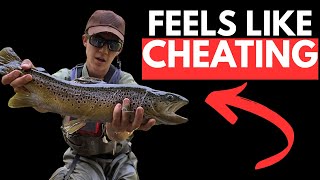 Summer Fly Fishing: TOP 5 Best Flies