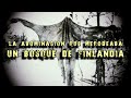 LA ABOMINACIÓN QUE MERODEABA UN BOSQUE DE FINLANDIA | Davo Valkrat #misterio #aterrador #miedo
