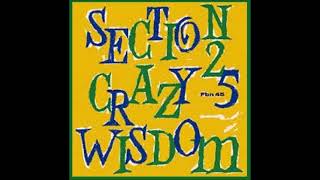 Section 25 - Crazy Wisdom  (1984) !!!!