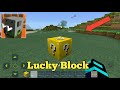 New Lucky Block Mod in Craftsman: Building Craft | 2020