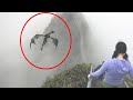 5 Dragones tomados en video Cámara y Vistos En La Vida Real PARTE UNO