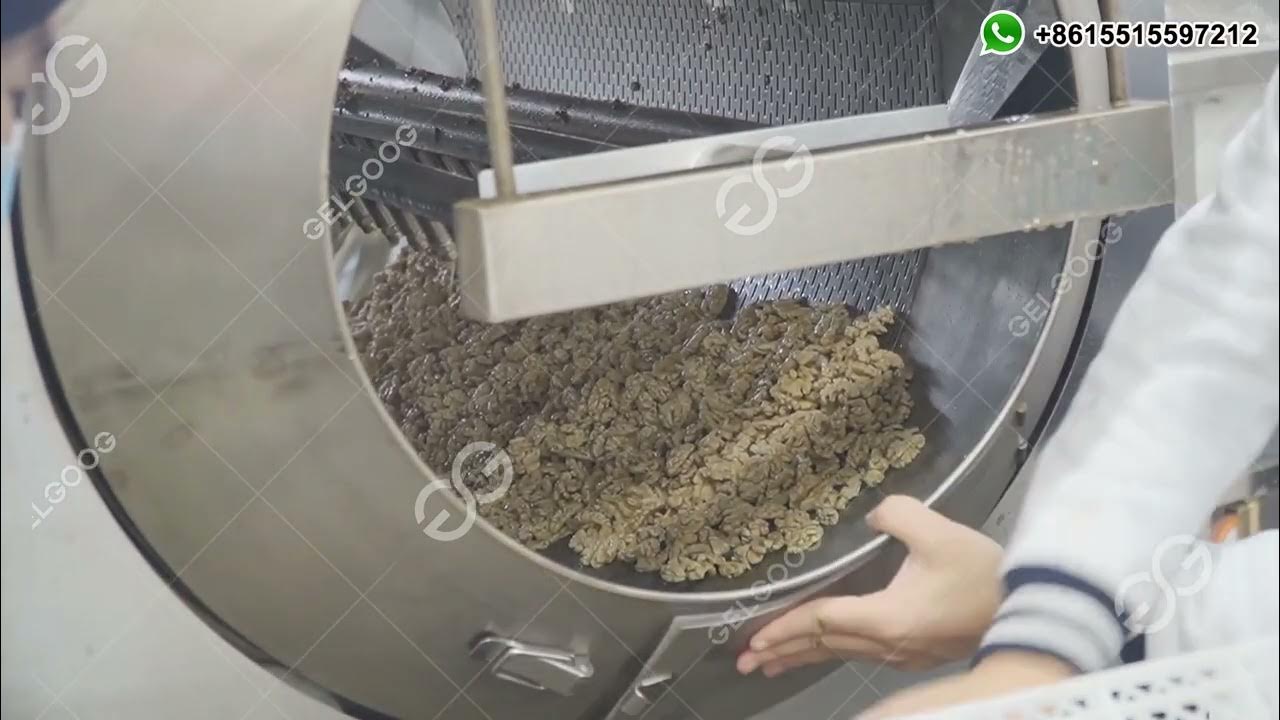 Walnut Blanching and Peeling Machine/Walnut Processing Equipment YouTube