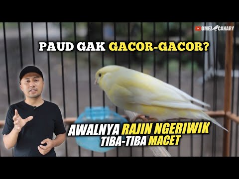 Video: Bahan apa yang tidak dapat dilalui oleh bunyi?