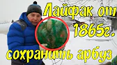 Дмитрич