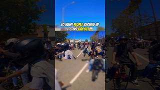 Mini Bikes Or E Bikes?