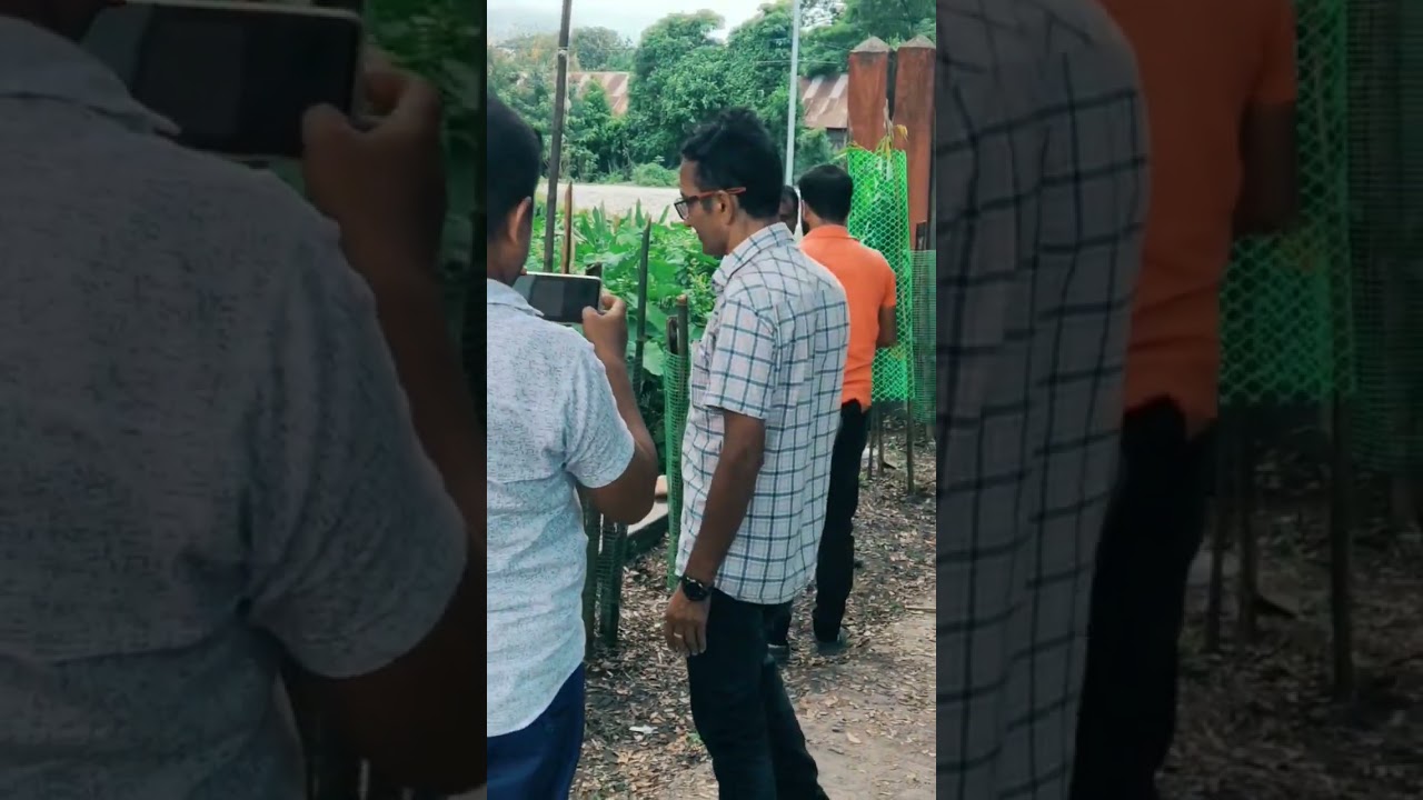 Tree Plantation in Labour Office Bongaigaon #savenature #saveearth #plantation