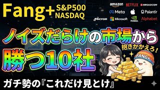 S&P500、NASDAQ100、FANG+ファングプラスどれにする!?オススメ最強銘柄10社のファングプラス!暴落煽りに負けるな!