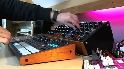 Tempest and Voyager Acid jam (couldn