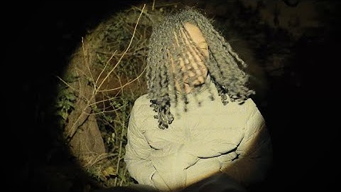 ay3demi - leaf (official music video) 