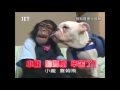 [HD] 狗狗猩猩大冒险  ~  Pan and James ~ 27