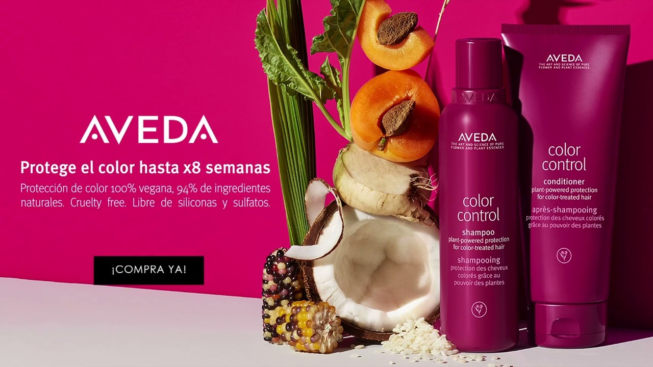 シャンプー Aveda Color Control Shampoo 1000ml カラー コントロール シャンプー | アヴェダ Aveda 公式