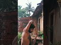 #sonic #shortvideo fitness Body fitness body fitness home Work out gym #shortvideo #gymmotivation
