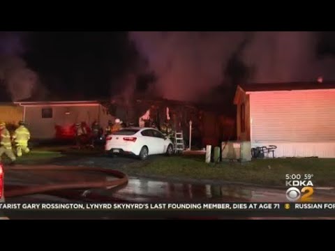 Man, 2 pets killed in North Fayette fire - YouTube