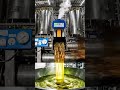 How Sugar Is Really Made 🍬 From Sugarcane to Crystals (Factory Process)