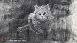 HOW TO DRAW A CAT WITH CHARCOAL POWDER AND AN ERASER - and graphite
