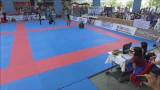 Jinri Park - Jiujitsu Nationals 2016 Jinri Park - Jiujitsu Nationals 2016