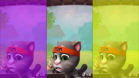 Mèo Talking Tom Cute Dancing Baby | Dancing Tom Colors | TIK TOK #13