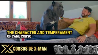 Canecorso #dog the character and ...
