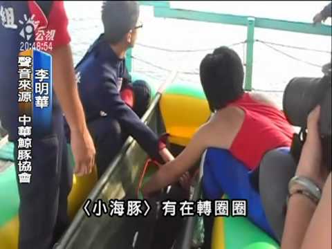 20110515-公視晚間新聞-海豚受困永新漁港 獲救送返大海.mpg