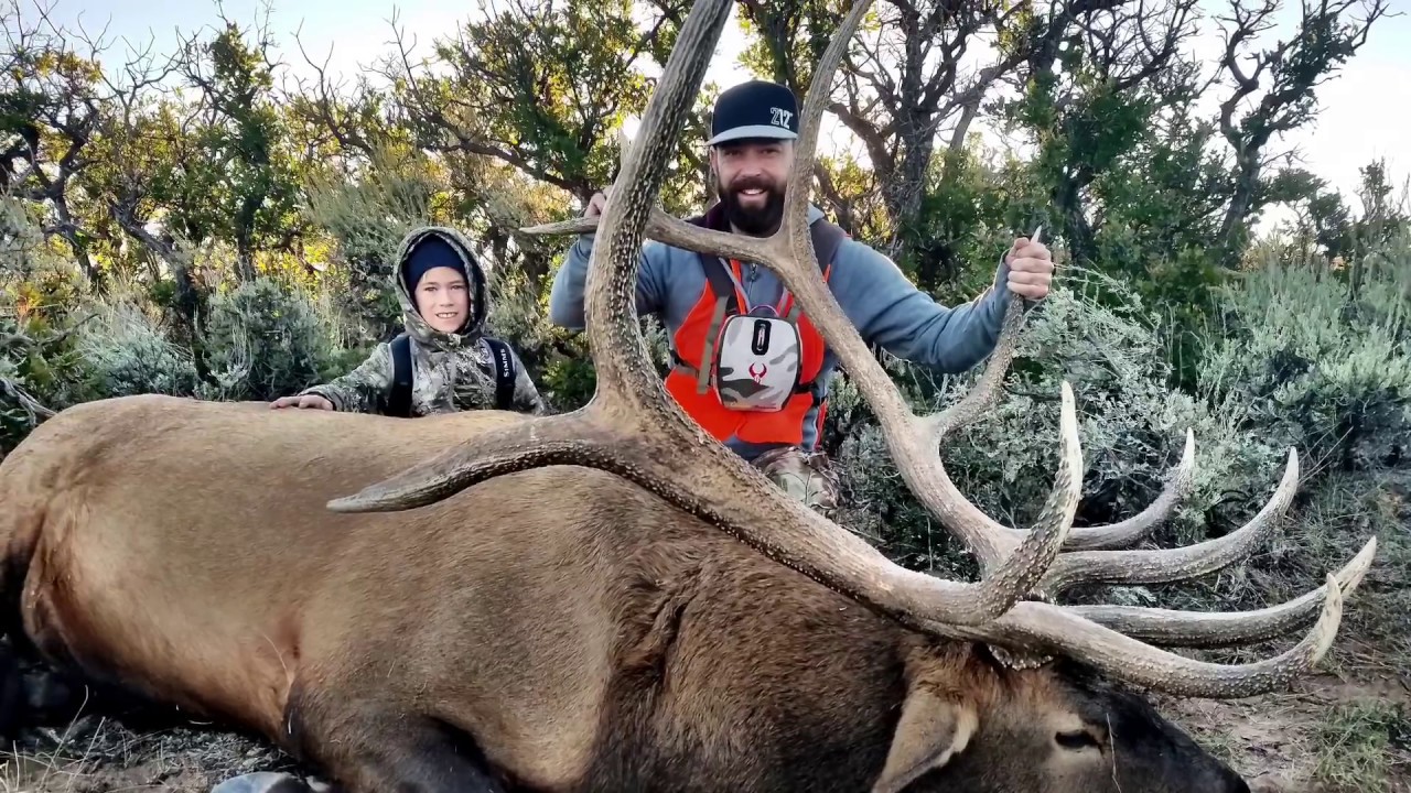 Epic Utah Book Cliffs Elk Hunt YouTube