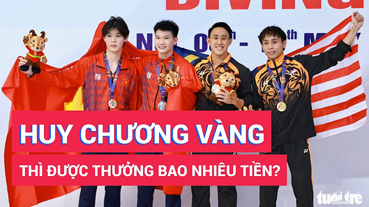 Việt nam được bao nhiêu huy chương vàng seagame năm 2024