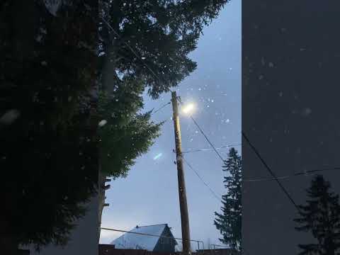 Заметает следы заметает…Все