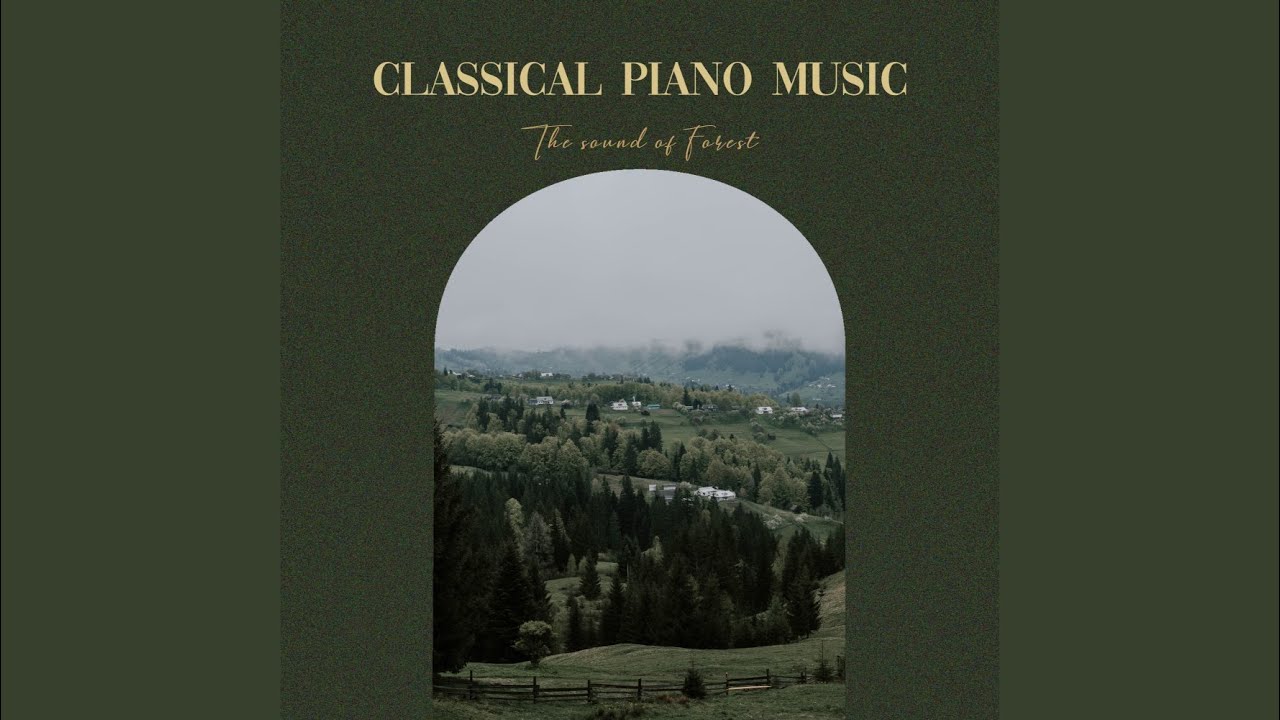 在 YouTube 上观看 睡眠森林