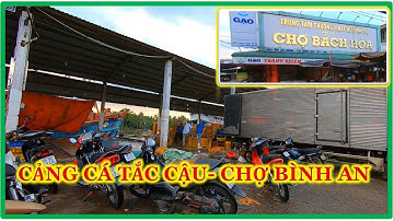 CẢNG CÁ TẮC CẬU CHỢ BÌNH AN KIÊN GIANG