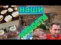 НАШИ НОВОСТИ/БОЛЬШАЯ ПОКУПКА/МАЛИНОВЫЕ ДНИ