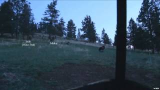 Hunting with HECS - HECS Tech and the Wild Turkey