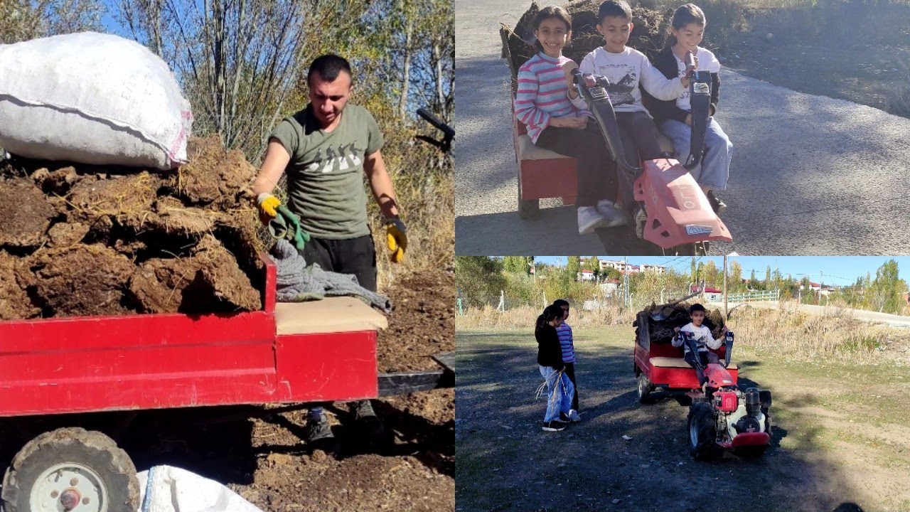 GÜNLÜK İŞLER. Pat pat ile tezek taşıdık. 