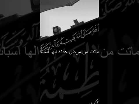 بث حمش #بث_جلسات_هانكوت_٢٤_ساعه