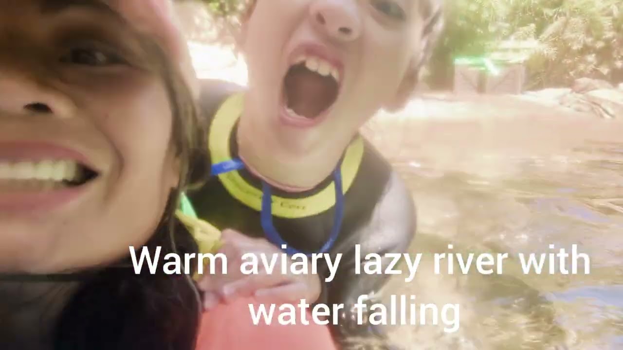 Discovery cove. Florida