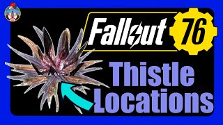 Got Thistle? Thistle Location Guide | Fallout 76 screenshot 4