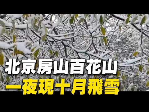 10月6日，北京房山百花山，一夜现十月飞雪。近日大陆甘肃，新疆，河北，吉林长白山，山西五台山等地都突然降雪，秋天秒进冬天。