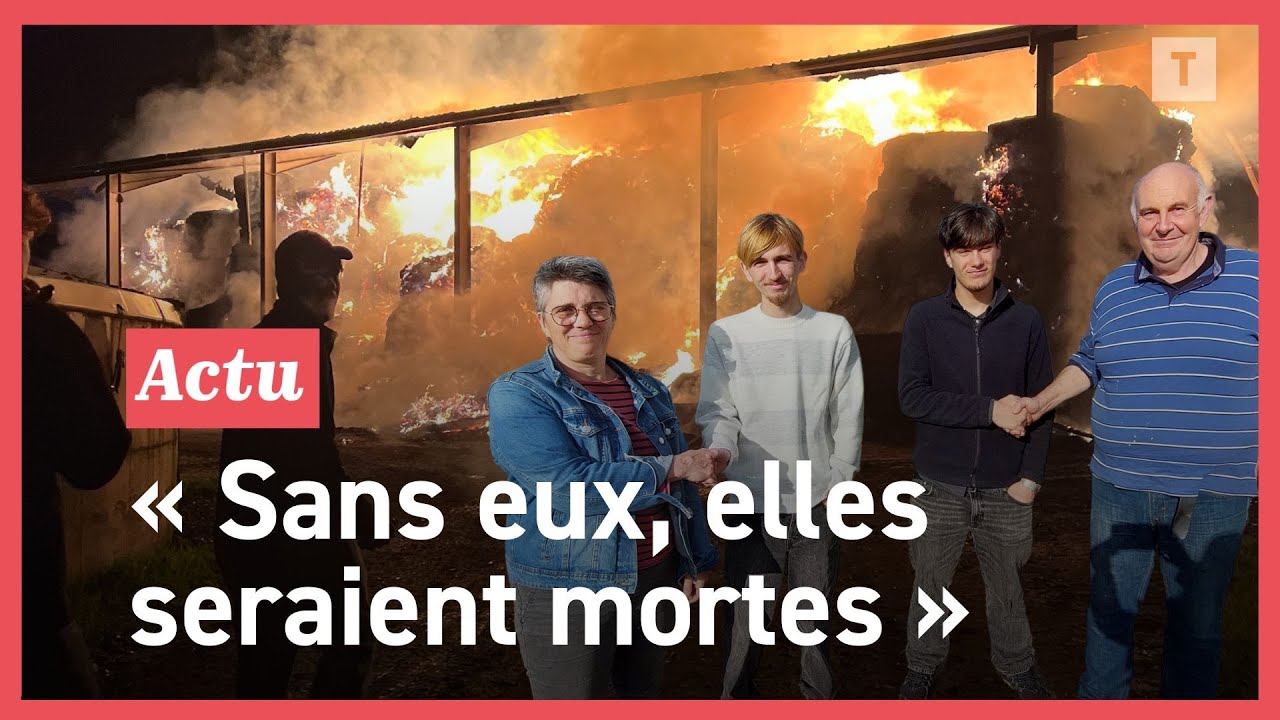 Ils sauvent 60 vaches d'un incendie dans une ferme près de Dinan