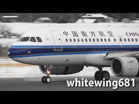 パンダモデル GSE 海南航空　中国南方航空 AIR ASIA バス パンダモデル GSE 海南航空 中国南方航空 AIR ASIA バス パンダ