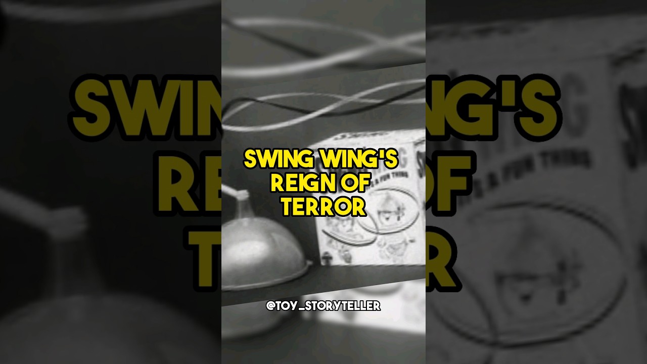 The Dark Side Of Swing Wing Toy