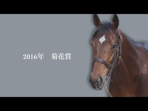 JRA CM風「21th Century Boy サトノダイヤモンド 」