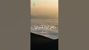 ﴿ كيف تكفرون بالله ﴾ سورة البقرة الآية 28 | تلاوة خاشعة فارس عباد