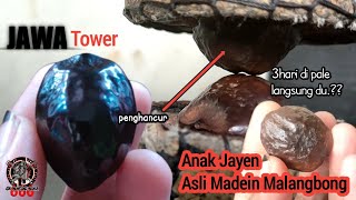 muncang jawa tower VS anak jayen asal malangbong