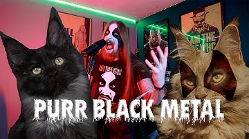 The Purr Meowhem! (PURR KVLT NAH BLACK METAL by Cikindeles)