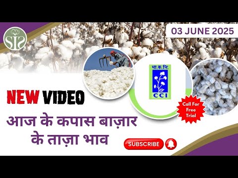 सम्पूर्ण भारत के कपास बाजार पर एक नजर😀 aaj ka kapas ka bajar bhav cotton marker rate today #kapas